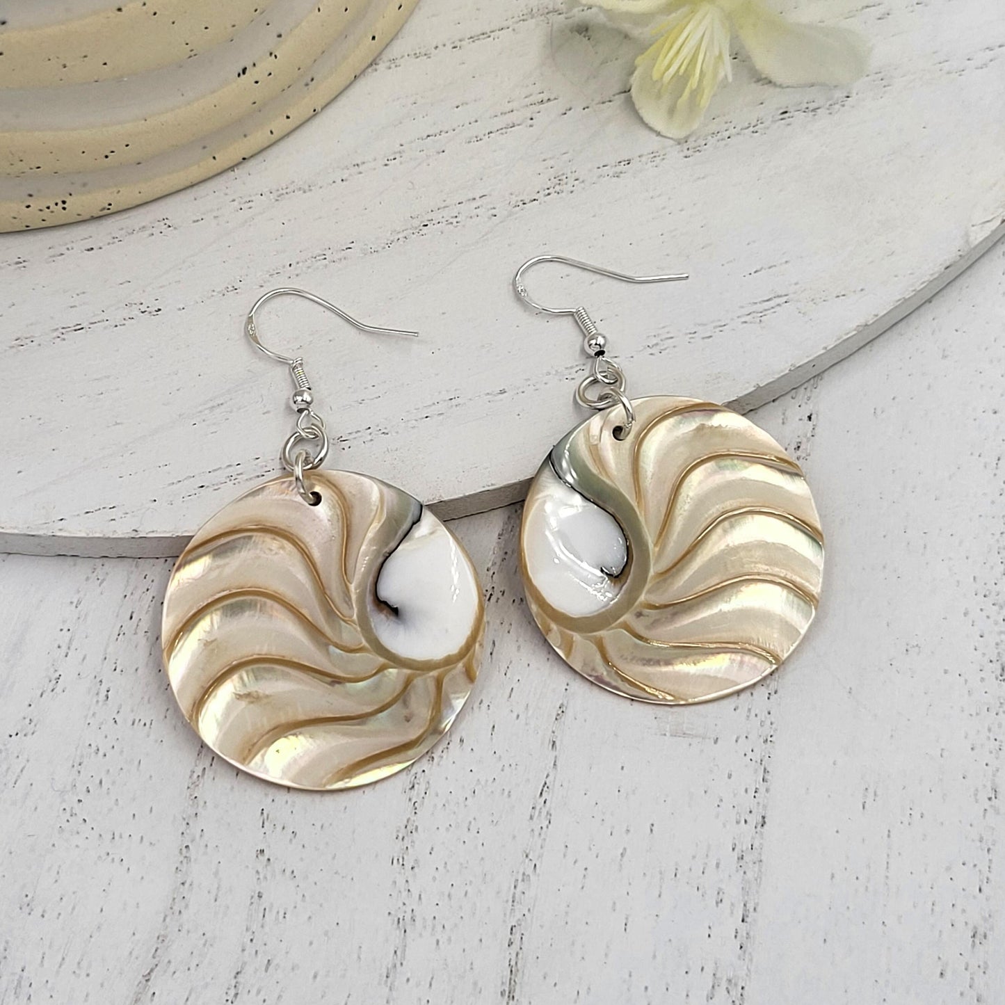 Sterling Silver Nautilus Shell Round Dangle Earrings