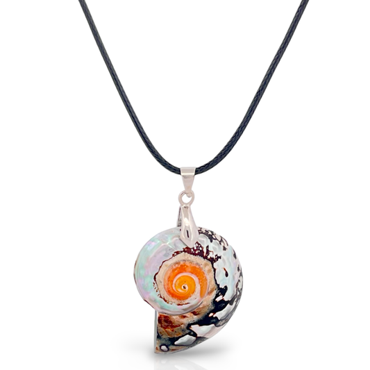 Zebra Mother of Pearl Nautilus Shell Pendant Necklace